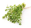 Lemon-Thyme.webp